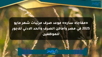 «مفاجأة سارة» موعد صرف مرتبات شهر مايو 2025 في مصر وأماكن الصرف والحد الأدنى للأجور للموظفين